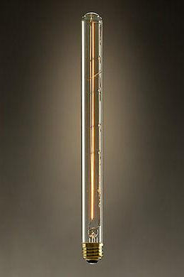 Edison Bulb